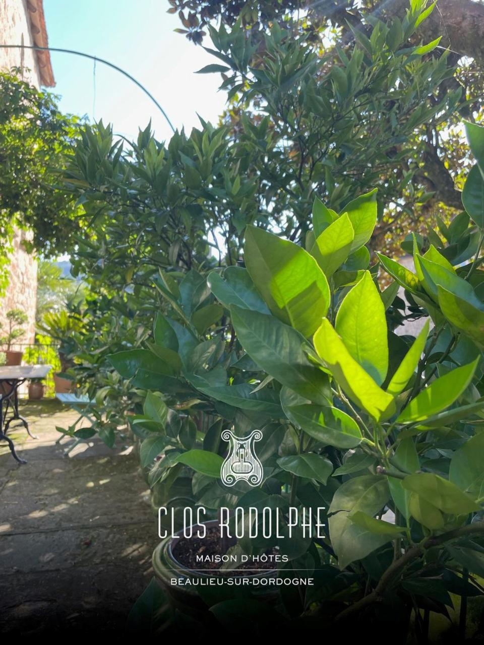 Le Clos Rodolphe Beaulieu-sur-Dordogne Kültér fotó